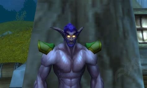 Canvas Shoulderpads Item Classic World Of Warcraft