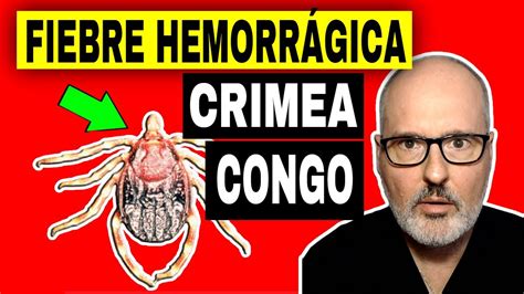 Hay Peligro De Que La Fiebre Hemorr Gica Crimea Congo Se Extienda