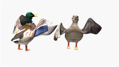 3D Model Ducks Two VR AR Low Poly CGTrader