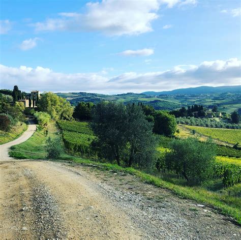 Caminhada em pequenos grupos e degustação de vinhos em Chianti