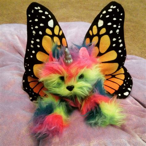 A Rainbow Butterfly Unicorn Kitten Rainbowbutterflyunicornkitten