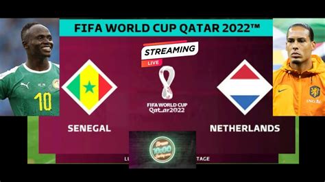 Senegal Vs Netherlands Livestream YouTube