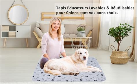 Paw Jamboree Lot De Tapis Educateur Pour Chien Et Chiot X Cm Tapis