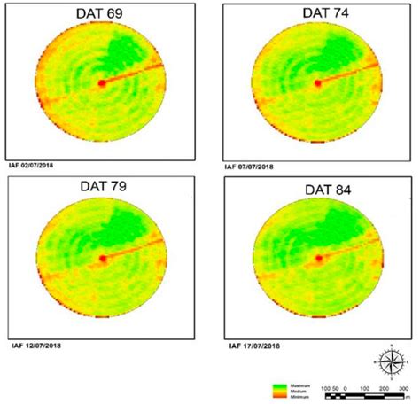 Scielo Brasil Sentinel Image To Estimate Industrial Tomato Leaf