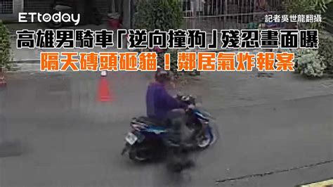 高雄男騎車「逆向撞狗」殘忍畫面曝 隔天磚頭砸貓！鄰居氣炸報案 播吧boba Ettoday新聞雲