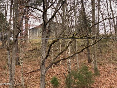 12 Acres In Lee County Virginia