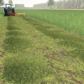 DUTCH FARM POLDER V1 2 FS19 Mod FS19 Net