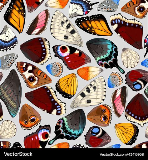 Butterfly and moth wings seamless pattern Vector Image