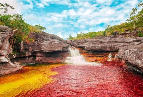 This Rainbow River in Colombia Will Take Your Breath Away