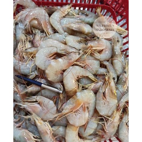 Jual UDANG JERBUNG UDANG PECI SEGAR 1 KG 30 40 Ekor Shopee Indonesia