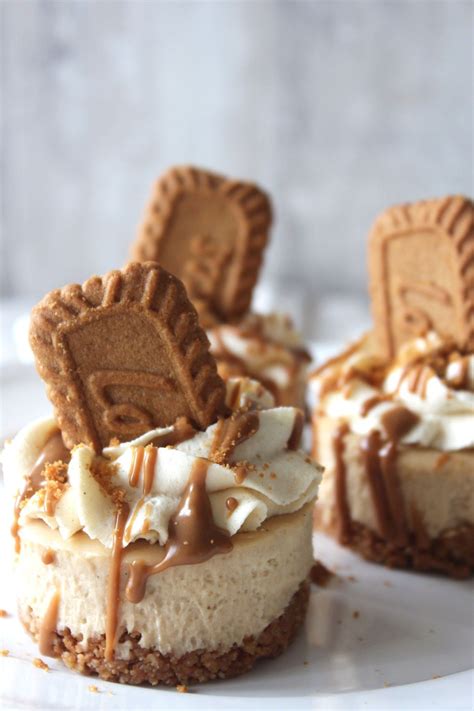 No Bake Mini Lotus Biscoff Cheesecake Love Yarn