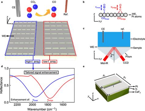 Multi Band Metasurface Driven Surface Enhanced Infrared Absorption