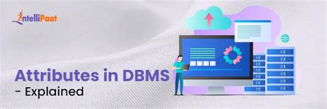 What is an Attribute in DBMS? Different Types Explained