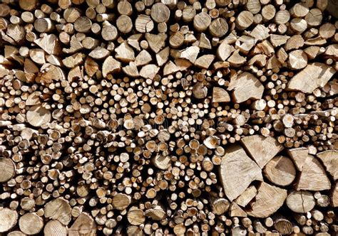 Cut Dry Wood Rounds Stock Photo Image Of Debarked Rounds 71688344