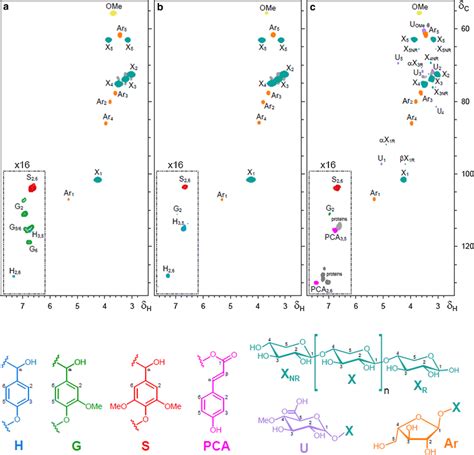 2D NMR HSQC spectra δC δH 52135 2 47 8 of the GAX samples extracted