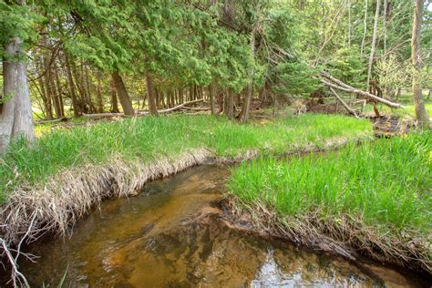 Watershed & Habitat Restoration Projects – Conservation Center