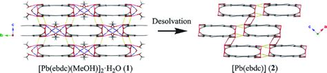 Loss Of Solvated Regions Of The Crystal Viewed Here Down The Download Scientific Diagram