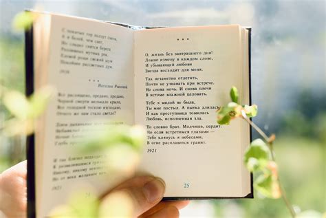 Поэты Серебряного века. Онлайн-курс по поэзии ХХ века