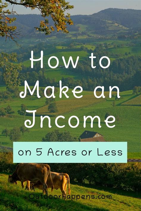 How To Make Money Farming 5 Acres Or Less Not Just Market Gardening