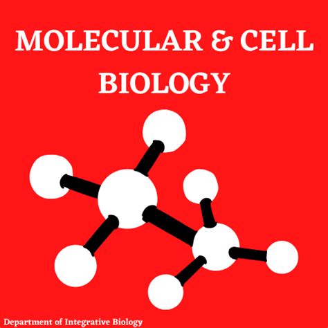 Undergraduate Programs Department Of Integrative Biology Uwmadison