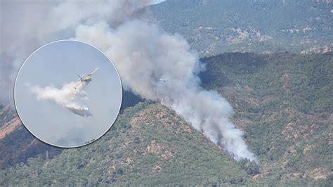 Son dakika Marmaris teki orman yangınında cinayet iddiası TGRT Haber