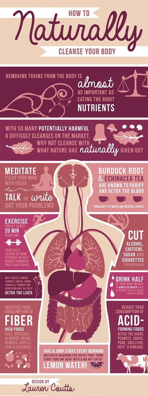 Infographic How To Naturally Cleanse Your Body Econugenics Blog