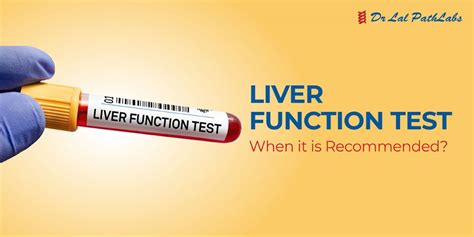 Understanding Liver Function Tests Procedure Result Dr Lal Pathlabs