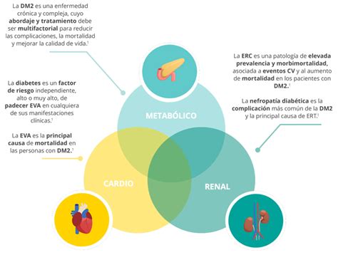 Cardiorrenal Es Recomendaciones Semergen Crm