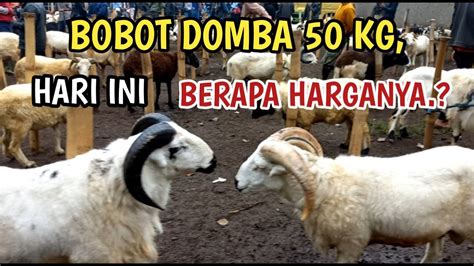 Pasar Domba Batujajar Info Harga Domba Qurban Bobot Kg Youtube