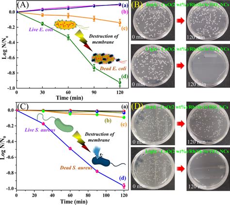 A C Photocatalytic Inactivation Of E Coli And S Aureus In The A