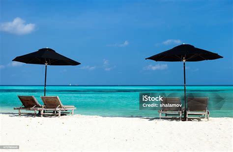 Idyllic Tropical Beach At Maldives Stock Photo Download Image Now