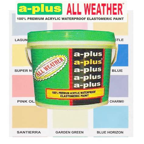 A Plus All Weather Premium Acrylic Waterproof Elastomeric Paint