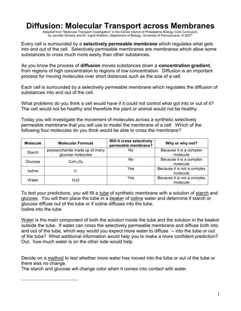 Transport Across Membranes Worksheet Answers Db Excel