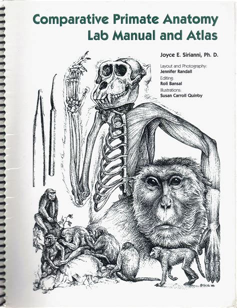 Comparative Primate Anatomy Lab Manual And Atlas By Ph D Joyce E