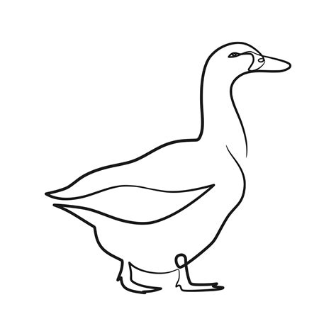 Duck Continuous Line Art Drawing 11512262 Vector Art At Vecteezy