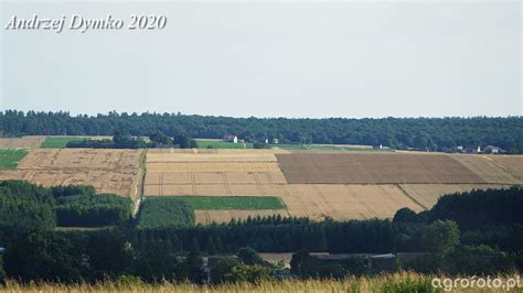 Pola Obrazek Fotka Zdjecie Photo Galeria Rolnicza Agrofoto