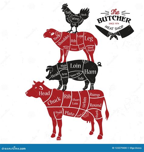 Meat Cuts. Diagrams for Butcher Shop. Animal Silhouette. Vector ...