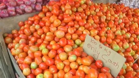 Tomato Prices मंडियों में टमाटर की कीमतें 100 रुपये के पार जानिए भाव में तेजी के क्या हैं कारण