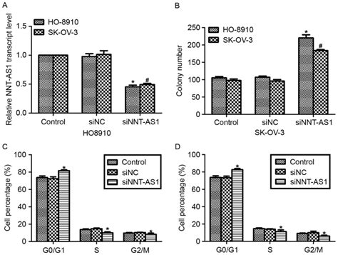 Long Non‑coding Rna Nnt‑as1 Contributes To Cell Proliferation