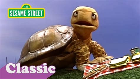 Shelley The Turtles I Get There Song Sesame Street Classic Youtube