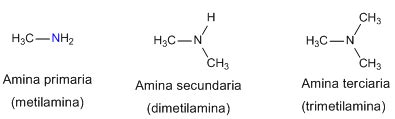 Nomenclatura de Aminas ORGÁNIC CHEMISTRY