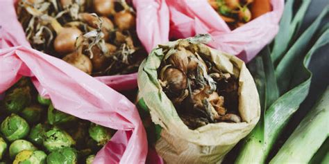 Quand la cantine municipale cultive ses propres légumes bio Rien à