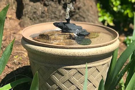 Diy Solar Bird Bath Fountain 6 Easy Steps Bird Feeder Hub