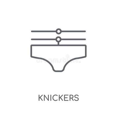 Lingerie Lineair Pictogram Modern Het Embleemconcept Van De