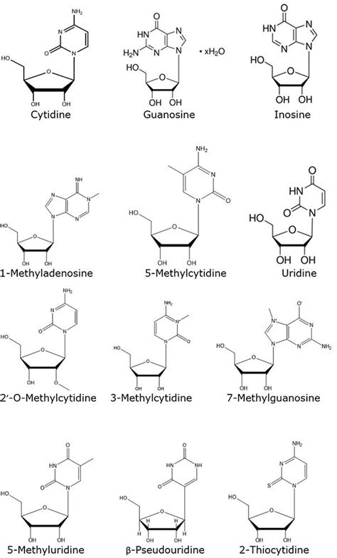 Uhplc Analysis Of Nucleosides On Supel Carbon Lc Column Performance