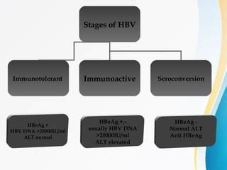 Hepatitis b (1) | PPT