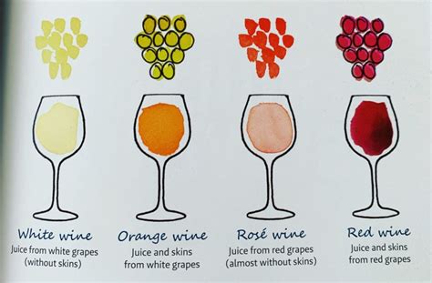 Rewriting Wine 101 Red White Rosé Or Orange Wine Foodie