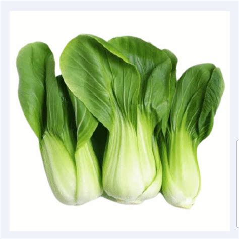 jual pakcoy segar  kota bogor lumbung pangan bogor tokopedia