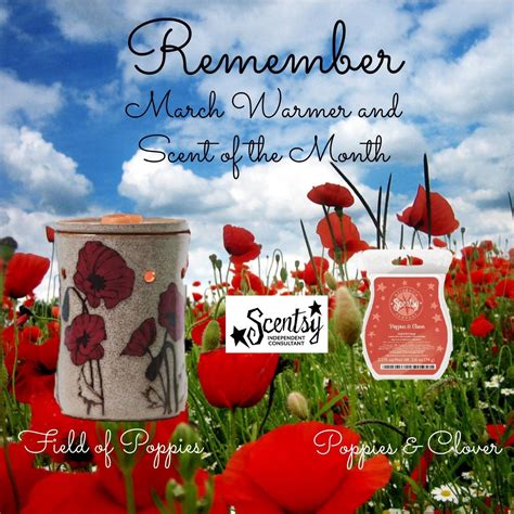 Scent Warmers Kety Scentsy Scent Scentsy Business Scentsy Independent Consultant Wickless