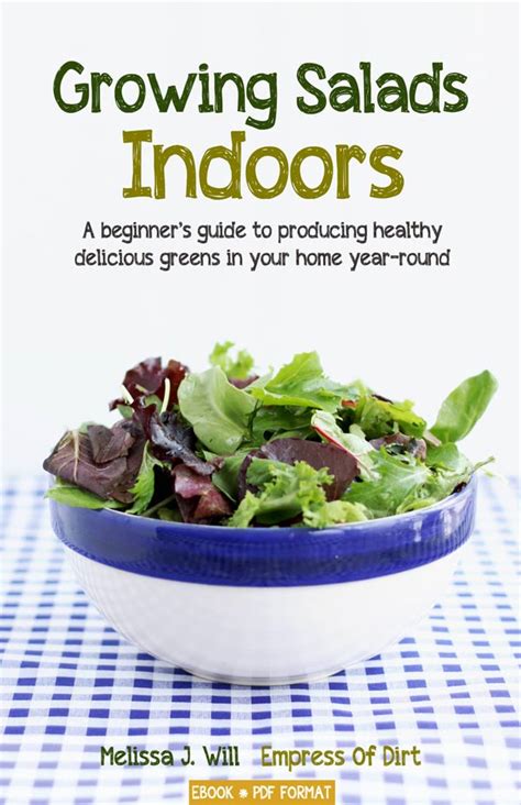 How To Grow Salad Greens That Regrow Empress Of Dirt